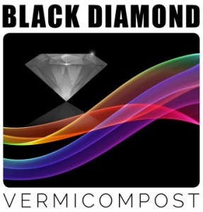 Black Diamond